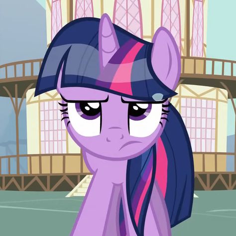 twilight sparkle icon, twilight sparkle pfp, my little pony icon, my little pony pfp, mlp icon, mlp pfp Twilight Sparkle Icon Pony, Twilight My Little Pony, Twilight Sparkle Pfp, Pfp My Little Pony, Twilight Family, My Little Pony Icon, My Little Pony Pfp, Twilight Sparkle Icon, Sparkle Icon