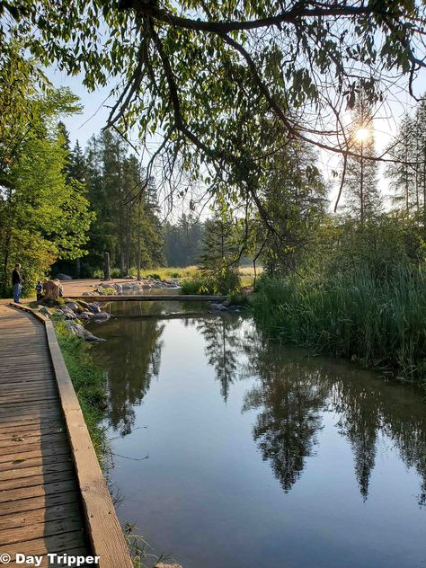 The Best Things to do at Itasca State Park 6 Minnesota Hiking, Mn State Parks, Itasca State Park, Hiking Club, Northern Minnesota, World Countries, Minnesota State, Outdoor Enthusiast, Boat Tours