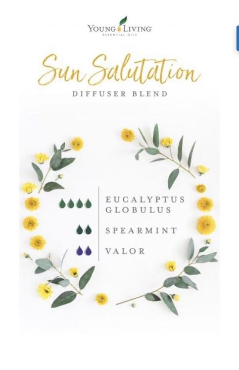 Valor Essential Oil, Diffuser Blends Young Living, Summer Essential Oils, Young Living Oils Recipes, Essential Oil Diffuser Blends Recipes, Young Living Essential Oils Recipes, Spearmint Essential Oil, Essential Oil Diffuser Recipes, Yl Essential Oils