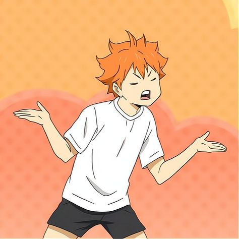 Haikyuu Meme, Lovely Complex, Hinata Shoyo, Anime Toon, Hinata Shouyou, Haikyuu Karasuno, Ao Haru Ride, Haikyuu Manga, Stray Dogs Anime