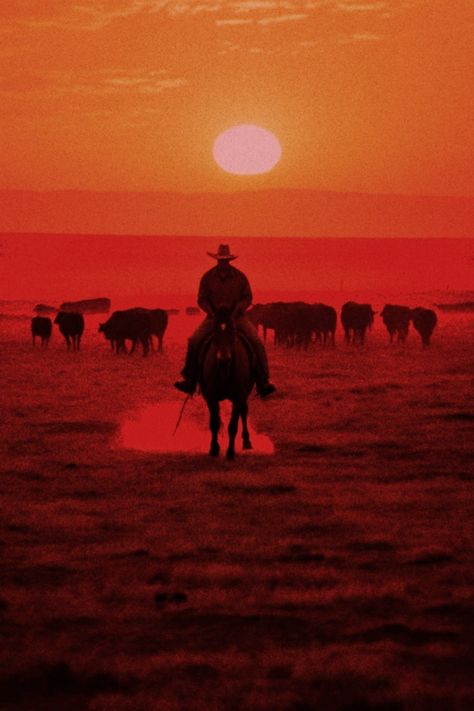 #western #gothicwest #cowboy #wildwest #reddeadredemption2 #horses #ranch #sunset #redskies #americana #bloodmeridian #cinematic #filmphotography #wilderness #midwest #southwest #unsettling #horror Red Western Aesthetic, Old West Aesthetic, Old Western Aesthetic, Unsettling Horror, Dark Western Aesthetic, Ranch Sunset, Western Horror, Horses Ranch, Blood Meridian