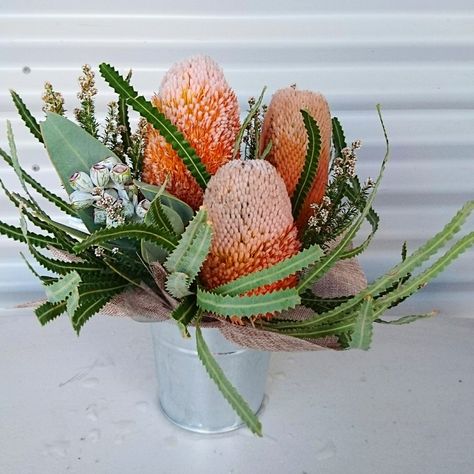 Banksia table centre arrangement by RANE flowers Banksia Flower Arrangement, Banksia Arrangement, Native Flower Arrangements, Bridal Table Backdrop, Australian Botanicals, Banksia Flower, Table Floral Decorations, Bush Wedding, Australian Native Garden