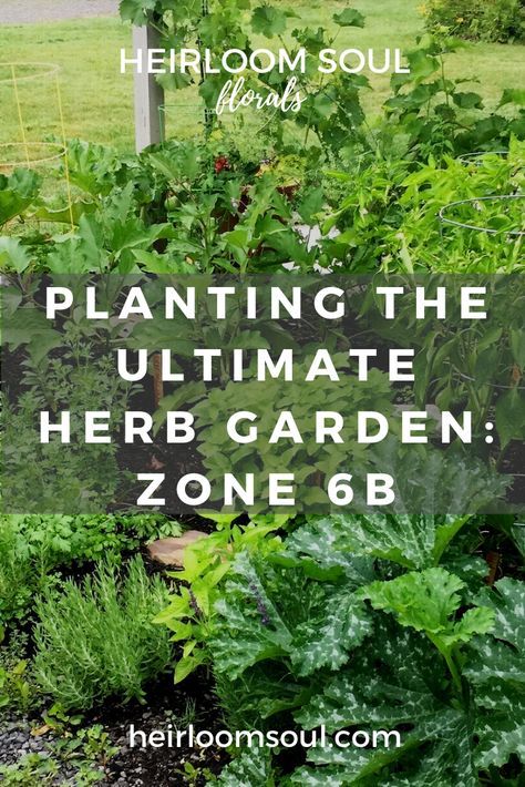 When To Plant Herbs, Herb Planting, Zone 6 Plants, Herbs To Plant, Easy Herbs To Grow, Planting Calendar, Gardening Zones, Herb Garden Design, Florals Wedding