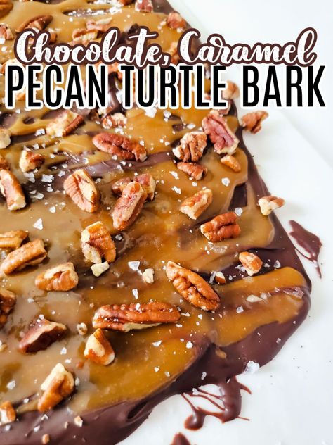 This Pecan Turtle Bark is so decadent and easy to make starring the best component of turtle candies: chocolate, pecans, and caramel: the perfect combination. Turtle Bark Recipe, Turtle Bark, Turtle Candies, Chocolate Pecans, Pecan Turtles, Easy Chocolate Desserts, Soft Caramel, Bark Recipe, Caramel Pecan