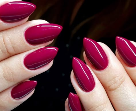 ‘Viva Magenta’ The Pantone Color Of The Year 2023 - ShaadiWish Magenta Nails, Nails Short Acrylic, Pink Nail Colors, Indigo Nails, Viva Magenta, Her Nails, Nail Colours, Nails Colors, Red Nail