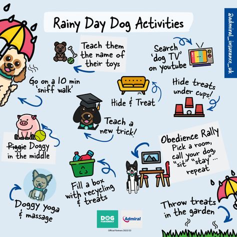 Rain! ☔ Does your dog love it or hate it? Many of us wish for a white Christmas... but the reality of our British weather often means it's wet and well...grey! 😶‍🌫️ The wet weather and darker nights tend to result in shorter or skipped dog walks. But did you know, that same energy can be released at home through mental stimulation? Also, not all dogs enjoy the rain, some will refuse to step their princely paws out in the wet weather. 👑 Rainy Day Dog Activities, Dog Daycare Activities Ideas, Things To Do With Dogs, Mental Stimulation For Dogs, Dog Infographic, Bored Dog, Puppy Mom, Short Dog, Same Energy