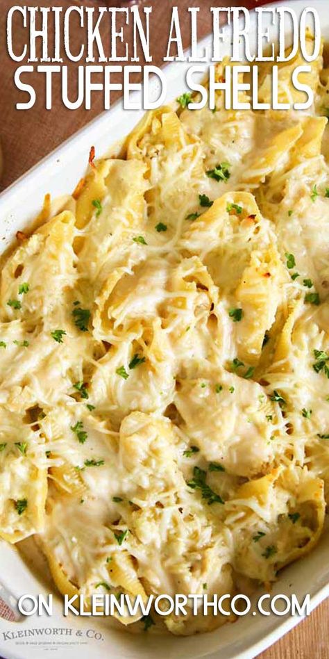 Jumbo Shell Recipes, Stuffed Shells Beef, Cheese Alfredo Sauce, Recipe Using Zucchini, Chicken Alfredo Stuffed Shells, Alfredo Stuffed Shells, Chicken Lombardy Recipes, Chicken Stuffed Shells, Alfredo Sauce Recipe Easy