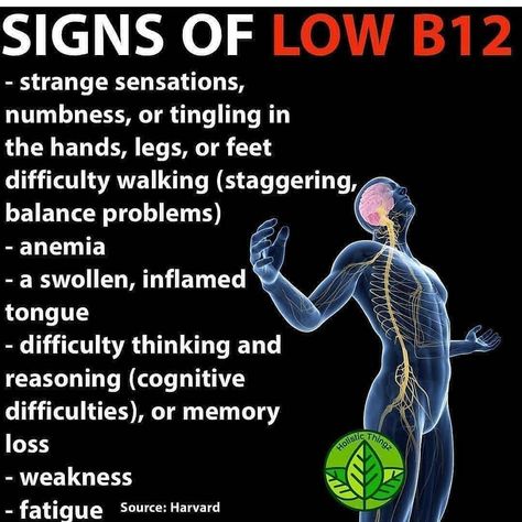 theveganmessage on Instagram: “💫Make sure to get your vitamin B12 in everyday. Seaweed and algae are filled with it! Why do you think fish are a "good" source of B12?…” Sources Of B12, Low Vitamin B12, B12 Vitamin Supplement, Best Supplements, Vitamin B12, Nutrition Plans, Nutrient Dense, Tag A Friend, Health Supplements