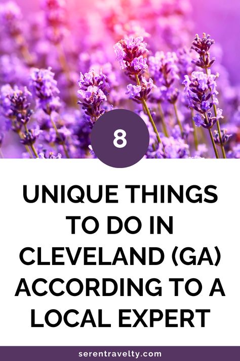 Discover 8 unique things to do in Cleveland, GA, from outdoor adventures to local attractions that offer something special. Cleveland Georgia, Cleveland Ga, Animal Experiences, Georgia Travel, Georgia Mountains, Georgia Usa, Safari Park, Romantic Weekend, North Georgia