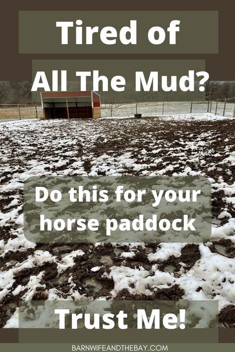 Read this article for everything you need to know about horse paddock mud control! Horse paddock footing and horse mud management are some of the major things that can keep horse owners and horse farm owners up at night. Horse ownership just got a bit easier! Great horse care tips in here, for your equestrian lifestyle! 2 Acre Horse Farm Layout, Horse Water Trough Ideas, Horse Ideas Stables, Horse Farm Hacks, Diy Horse Arena Cheap, Horse Track System Ideas, Horse Boarding Business, Barn Hacks Horse, Horse Pasture Shelter