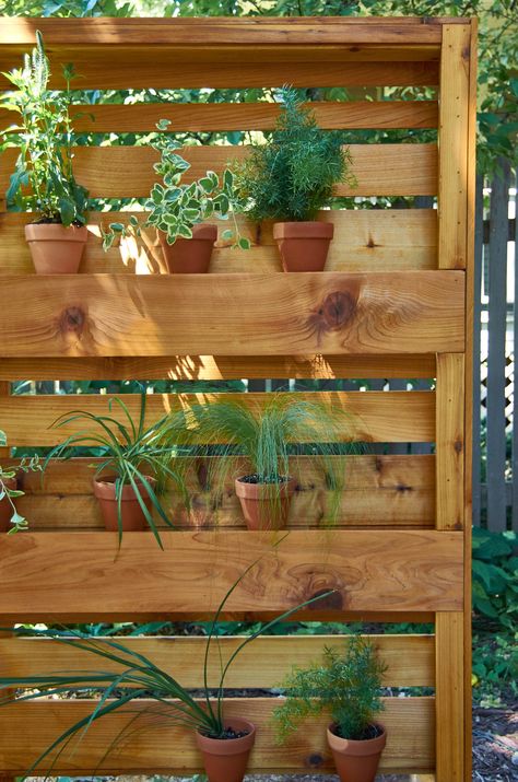 Make a vertical plant wall that deceives the eye into believing your pots are floating! Made out of weatherproof cedar, this affordable project can help make any outdoor area feel more like a 'room'. #["sponsored", "cedar", "wood", "outdoor", "Plants & Garden", "woodworking", "landscaping", "planter", "DIY", "How-To"] Outdoor Plant Wall Ideas, Vertical Plant Wall, Modern Planters Outdoor, Deck Decor, Planter Wall, No Grass Backyard, Cedar Planters, Diy Planter Box, Grasses Landscaping