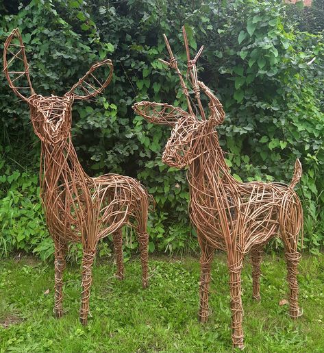 Willow Sculpture | Musgrove Willows Courses Willow Sculptures, Willow Sculpture, Reindeer Sculpture, Somerset Levels, Willow Weaving, Unique Sculptures, Rustic Garden Decor, Rustic Gardens, Somerset