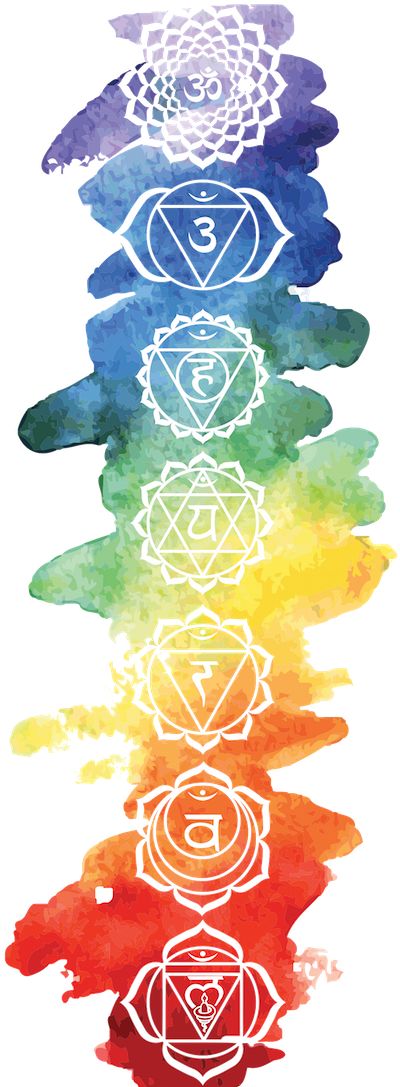 How To Use Your Chakras As A Gateway To Your Personal Power - Numerologist.com Chakra Painting, Mandala Png, Arte Yoga, The Seven Chakras, The 7 Chakras, Chakra Art, Chakra System, Magical Life, Seven Chakras