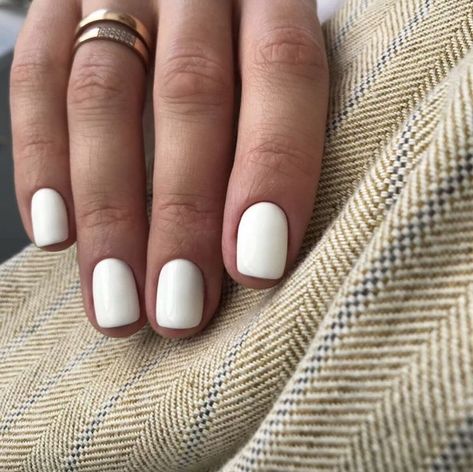 White Short Gel Nails, Short Nail White, White Gel Nails, Natural Gel Nails, Gel Toe Nails, Short Gel Nails, Winter Nails Acrylic, Simple Gel Nails, Casual Nails