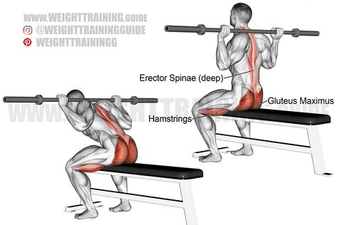 Good Morning Exercise, Barbell Good Morning, Best Back Exercises, Upper Body Workout Gym, Good Mornings Exercise, Lower Body Exercises, Gluteus Maximus, Good Back Workouts, Morning Exercise