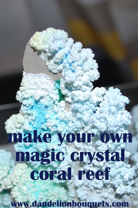 Crystal Science: How to Make Your Own Magic Crystal Coral Reef – dandelion bouquets Coral Reef Craft, Ocean Diorama, Fish Freshwater, Crystal Trees, Ocean Habitat, Ocean Theme Preschool, Ocean Projects, Fish Tropical, Ocean Unit