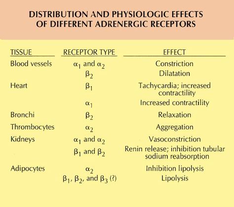 Adrenergic Receptors Antitubercular Pharmacology, Adrenergic Agonist And Antagonists, Angiotensin Ii Receptor Blockers, Adrenergic Receptors, Associates Degree In Nursing, Excitatory And Inhibitory Neurotransmitters, Paramedic School, College Nursing, Best Nursing Schools