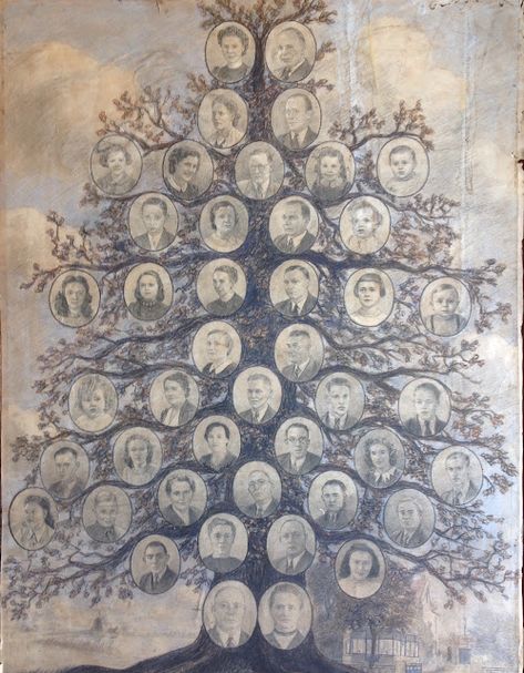 Historical Family Tree, Family History Art, Family Tree Aesthetic, Family Tree With Roots, Family Tree Wallpaper, Family Tree Album, Family Tree Ideas, Ancestry Art, Family Tree Mural