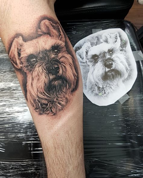 Schnauzer Tattoo, Really Bad Tattoos, Tattoo Concepts, Bad Tattoos, Schnauzer Dogs, Dog Tattoos, Tattoo Artist, To Tell, Tattoos