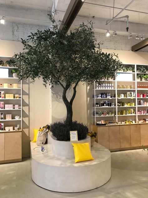 Olive Oil Store, Cosmetics Store, Pharmacy Design, Bench Set, Tree Shop, Oil Shop, L Occitane, Boutique Interior, Olive Tree