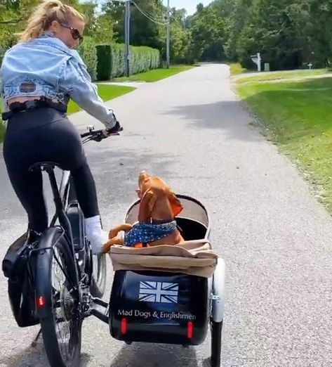 Bicycle Sidecars - Mad Dogs & Englishmen | California Dog Bike Carrier, Bike With Sidecar, Bicycle Sidecar, Bike Chopper, Dog Trailer, Biking With Dog, Bicycle Trailer, Carbon Road Bike, Bike Trailer