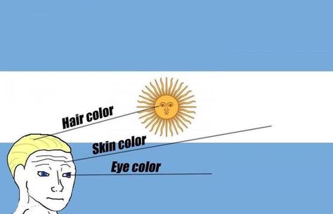 The meaning of the colors on the Argentinian flag Flag Argentina, Argentinian Flag, Argentina Flag, How To Speak Spanish, Know Your Meme, The Meaning, Skin Color, Eye Color, Fern