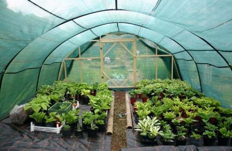 Greenhouse Shade Cloth, Shade House, Greenhouse Effect, Greenhouse Growing, Backyard Greenhouse, Greenhouse Plans, Tent Pegs, Custom Shades, Shade Cloth