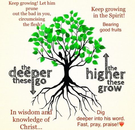 Planting Roots Quotes, Rooted In Faith, Rooted Quotes, Rooted In Christ, Vision Board Diy, Colossians 2, A Course In Miracles, School Theme, Thy Word