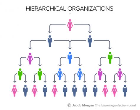 The 5 Types Of Organizational Structures: Part 1, The Hierarchy Demon Hierarchy, Organization Structure, Data Vizualisation, Landscaping Business Cards, Life Coach Certification, Literature Teacher, Business Landscape, Life Coach Training, Future Of Work