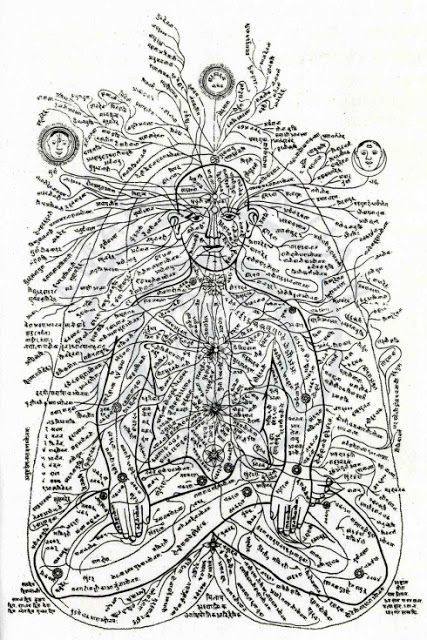 system of nadis (channels) in the human body Five Tibetan Rites, Tibetan Rites, Yoga Details, Animal Adaptations, Channeling Energy, Life Force Energy, Cosmic Energy, Les Chakras, Kundalini Yoga