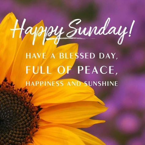 Beautiful Morning Pictures, Happy Sabbath Quotes, Wednesday Morning Quotes, Good Morning Sunday Images, Sunday Greetings, Good Sunday Morning, Hello Sunday, Happy Sabbath, Happy Sunday Quotes