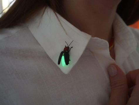 pins,glow in the dark,insects,etsy Weird Necklaces, Bug Clothes, Big Dipper, Glow In Dark, Insect Jewelry, Cool Pins, Funky Jewelry, Cute Pins, Pretty Jewellery