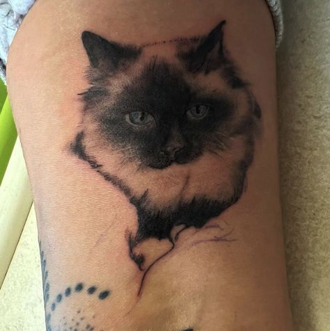 Ragdoll Cat Tattoo Ragdoll Tattoo Designs, Ragdoll Cat Tattoo, Ragdoll Tattoo, Cat Scratch Tattoo, Scratch Tattoo, Cat Tattoo Simple, Realistic Watercolor, Grey Shades, Cat Tattoo Designs