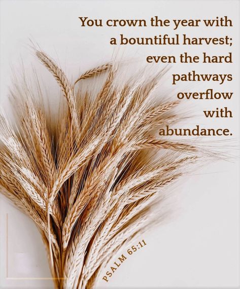 wiirocku: “Psalm 65:11 (NLT) - You crown the year with a bountiful harvest; even the hard pathways overflow with abundance. ” Harvest Quotes, Psalm 65 11, Harvest Bible, Psalm 65, Bible Psalms, Scripture Wallpaper, Feast Of Tabernacles, Gospel Quotes, Church Signs