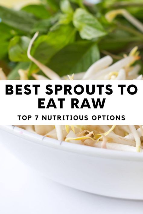 Best Sprouts to Eat Raw: Top 7 Nutritious Options Best Sprouts To Eat, Alfalfa Sprouts Recipes, Bean Sprout Recipes, Microgreens Recipe, Pigs Eating, More Nutrition, Health Facts Food, Alfalfa Sprouts, Sprouts Salad