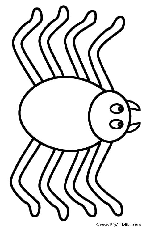 Spider - Coloring Page (Insects) Halloween Spider Template Free Printable, Spider Coloring Pages, Space Coloring Sheet, Spider Template, Spider Printable, Spider Cartoon, Spider Coloring Page, Spider Drawing, Reader's Theater