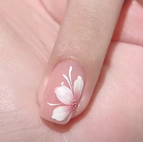 Cherry Blossom Nails Art, Lily Nails, Cherry Blossom Nails, Kutek Disney, Unghie Nail Art, Art Deco Nails, Manicure Nail Designs, Floral Nail Designs, Fancy Nails Designs