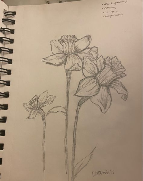 Flower pencil drawing Flower Drawing Shaded, Flower Nature Drawing, Flower Observational Drawing, Easy Sketches Flowers, Detailed Flower Drawings, Spring Drawings Ideas Art Pencil, Spring Sketches Drawings, Pencil Sketches Flowers, Flower Sketches Simple Pencil