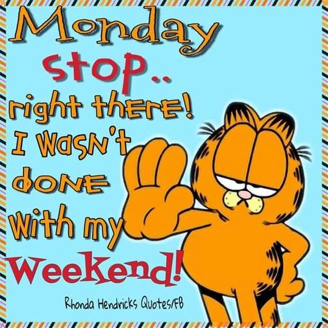 Garfield Quotes, Funny Good Morning Messages, Monday Humor Quotes, Monday Morning Quotes, Morning Quotes For Friends, Fb Quote, Funny Day Quotes, Good Morning Happy Monday, Good Morning Funny Pictures