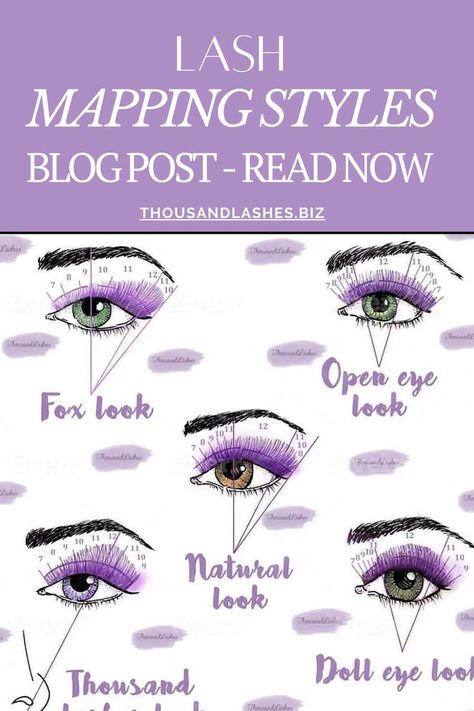 Lash Mapping Styles, Eye Lash Style, Making A Plan, Lash Mapping, Eyelash Extension Training, Eyelash Technician, Eyelash Extensions Styles, Lash Extensions Styles, Curl Lashes