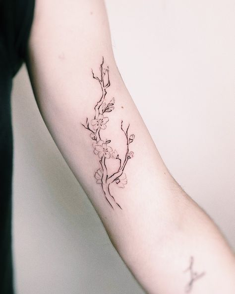 Sakura Fine Line Tattoo, Sakura Tattoo, Chinese Tattoo, Sakura Flower, Aesthetic Tattoo, Design Drawings, Fine Line Tattoos, Tattoo Design Drawings, Minimal Tattoo