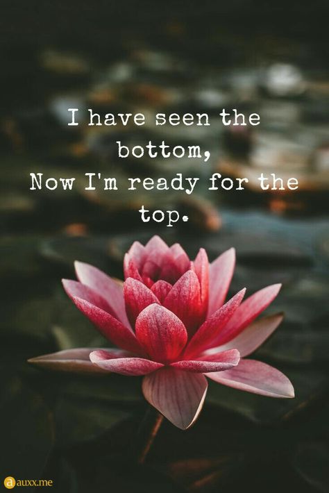 Lotus Flower Quote, Bloom Quotes, Top Quotes, Flower Quotes, Beautiful Quotes, Lotus Flower, The Words, Great Quotes, Namaste