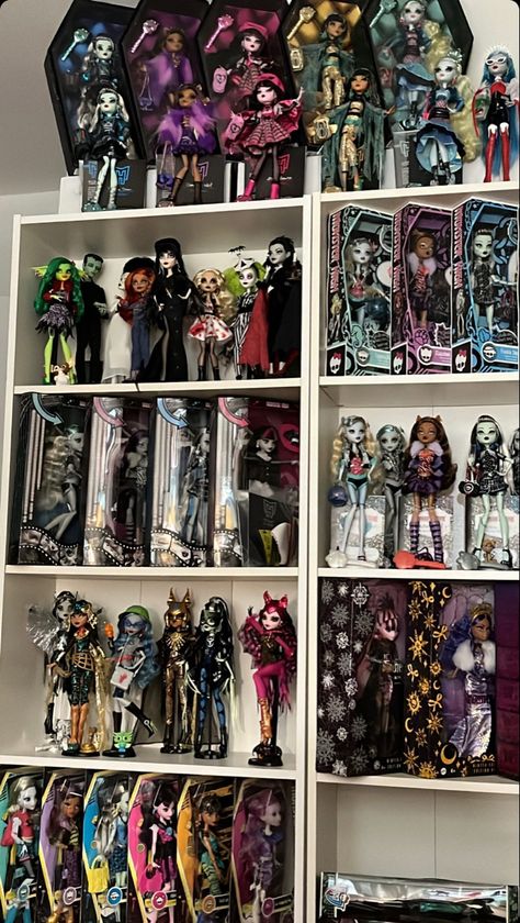 Monster High Shelf Display, Monster High Collection Display, Monster High Display, Doll Collection Display, Monster High Doll Collection, Monster High Room, Monster High Collection, Novi Stars, Most Popular Cartoons