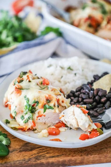 This Baked Salsa Fresca Chicken is the best easy chicken dinner for a busy night. Bursting with flavor and just 5 minutes of prep have this meal ready to cook. Tender chicken breast is perfectly seasoned and baked smothered with zesty salsa, and cheese for the most irresistible combination of flavors. This easy chicken breast recipe has been a favorite for many years and is a kid friendly dinner we all enjoy! Serve this Mexican chicken with black beans, rice, or salad for a perfect meal! Chicken With Black Beans, Easy Chicken Breast Recipe, Black Beans Rice, Salsa Fresca Chicken, Easy Chicken Dinner, Salsa Fresca, Easy Chicken Breast, Chicken Breast Recipe, Chicken Breast Recipes Easy