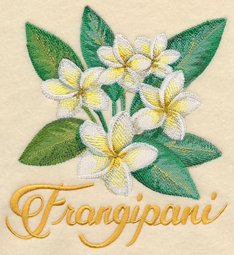 Frangipani Embroidery, Embroidery Things, Flower Machine Embroidery Designs, Tie Dye Crafts, Sewing Machine Embroidery, Applique Quilt Patterns, Embroidery Stitches Tutorial, Machine Embroidery Applique, Simple Embroidery