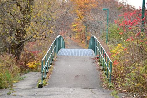 Fall, St. Catherines Weather Photos, Beautiful Weather, Fall 2014, Ontario, Photo And Video