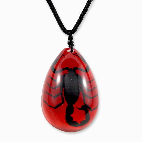 PRICES MAY VARY. REAL Scorpion Necklace Red Background adjustable necklace from 15 to 28 in Tear Drop Shape Clasp Closure Cool Desk Gadgets, Real Scorpion, Scorpion Necklace, Desk Gadgets, Red Jewellery, Necklaces Red, Crow Skull, Red Fits, Red Necklace