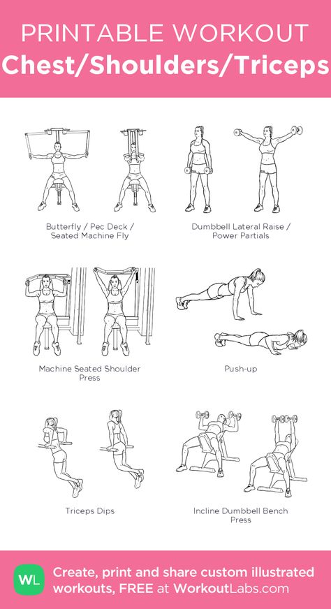 Chest Shoulders Triceps Workout, Tris Workout, Chest And Tricep Workout, Workout Labs, Printable Workout, Gym Workout Plan For Women, Gym Workouts Women, Exercise Plan, Printable Workouts