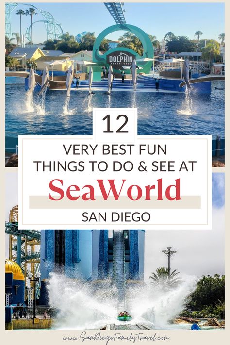 Looking for the must-see attractions that can't be missed at SeaWorld San Diego? From the top shows to the most thrilling rides to amazing animal encounters, here are the 12 very best things to do at SeaWorld San Diego for the entire family. Cali Summer, California Attractions, San Diego Hotels, Seaworld San Diego, Animal Encounters, San Diego Travel, Mission Bay, California Vacation, California City