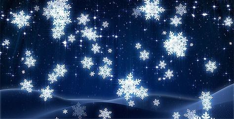 Snowflakes Winter Header, Discord Wallpaper, Xmas Wallpapers, New Year Night, Winter Banner, Blue Flowers Background, Snowflake Wallpaper, Snowflake Images, Backgrounds Nature